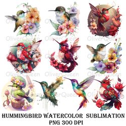 hummingbird watercolor sublimation art, hummingbird png, hummingbird