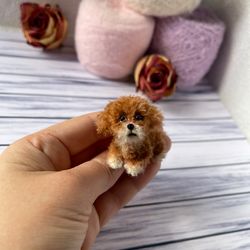 Miniature realistic maltipoo dog minitoy ooak puppy pet friend for doll custom dog figurine dollhouse miniature handmade