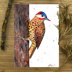 Bird painting, golden woodpecker watercolor paintings, handmade bird watercolor painting by Anne Gorywine