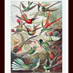 Beautiful Birds Painting Art Print Framed With Glass Size 43X28 Cm