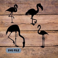 flamingo svg,flamingo svg black silhouette,flamingo svg bundle