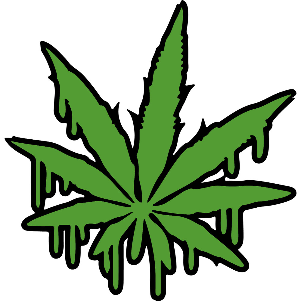 rasta81.jpg