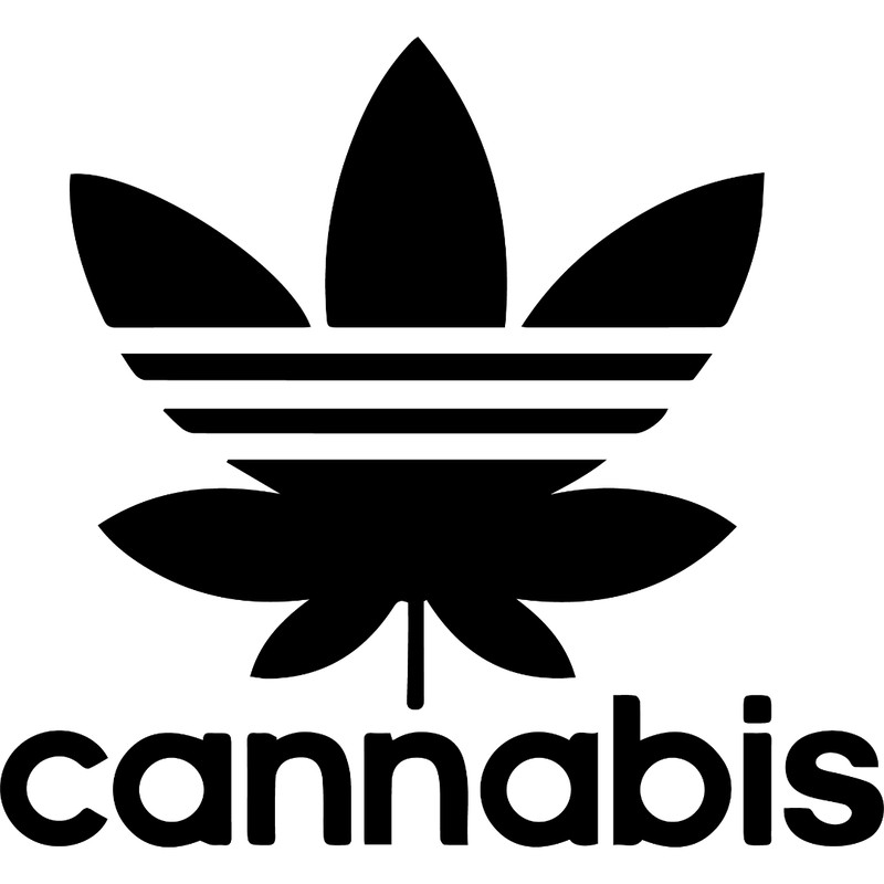 rasta94.jpg