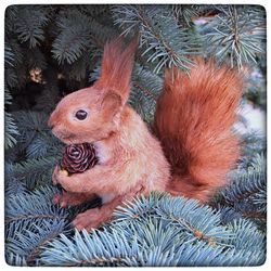 Red squirrel, stuffed toy