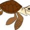 Turtle 1 PNG.png