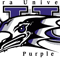 Niagara Purple Eagles.png