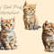 MR-latoria-terrill-cad310323007-342023113449.jpeg