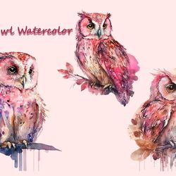 pink owl watercolor