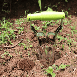 vegetable & flowers seedling transplanter