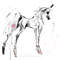 Light Gray White Grey Arabian Horse ART commission cute sketch doodle custom original equine artist cartoon illustration pet portrait realistic drawing personal