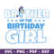 Clintonfrazier-copy-bluey-birthday-10.jpeg