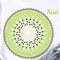 mandala kiwi decor.jpg