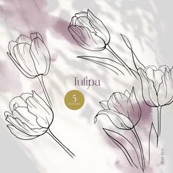 botanical line art, tulip clip art, digital flower print, floral elements, black and white botanical line clipart