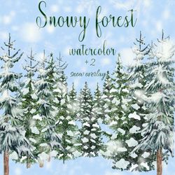 winter forest clipart "forest clipart" pine trees christmas tree watercolor forest landscape conifers trees clipart wood