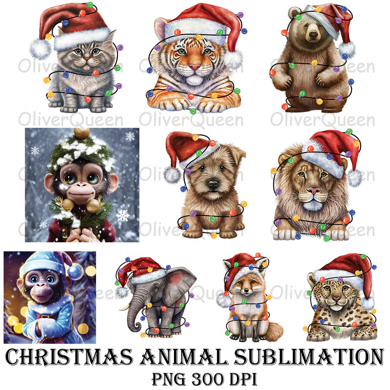 MOCKUP OLIVERQUEEN.png