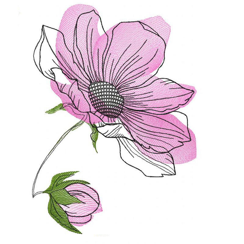 Delicate magnolia flower.jpg