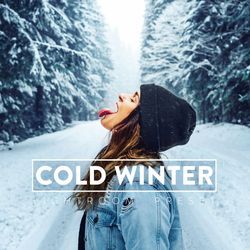 10 COLD WINTER Lightroom Mobile and Desktop Presets, Clean Instagram Winter Frosty Snow Holiday Lifestyle Blogger LR Mob