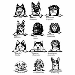 Bundle Dogs svg, Dogs Cut File Bundle, Dog SVG bundle, Dogs svg files for cricut, dogs silhouette