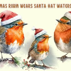 christmas robin wears santa hat watercolor