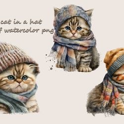 Baby Cat In A Hat And Scarf Watercolor Png