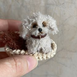 Miniature realistic maltipoo dog minitoy ooak puppy doll pet friend custom dog figurine dollhouse miniatures handmade