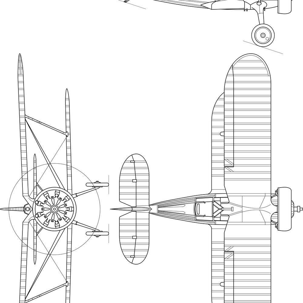 Polikarpov_I-15.jpg