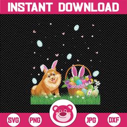 happy easter cute bunny pomeranian dog wearing bunny ears png, easter sublimation design download, pomeranian png dog pr