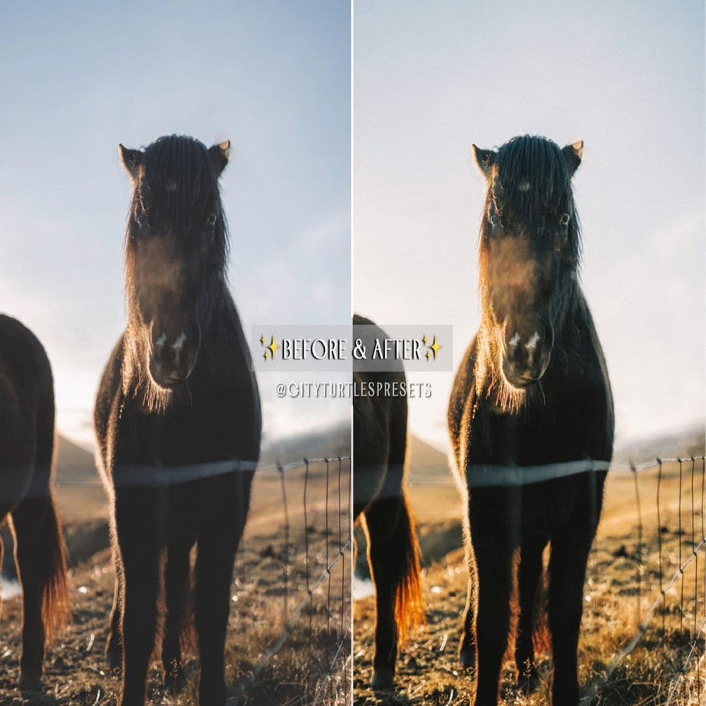 1080x1080 size il_1588xN.4534265592_21gf.jpg