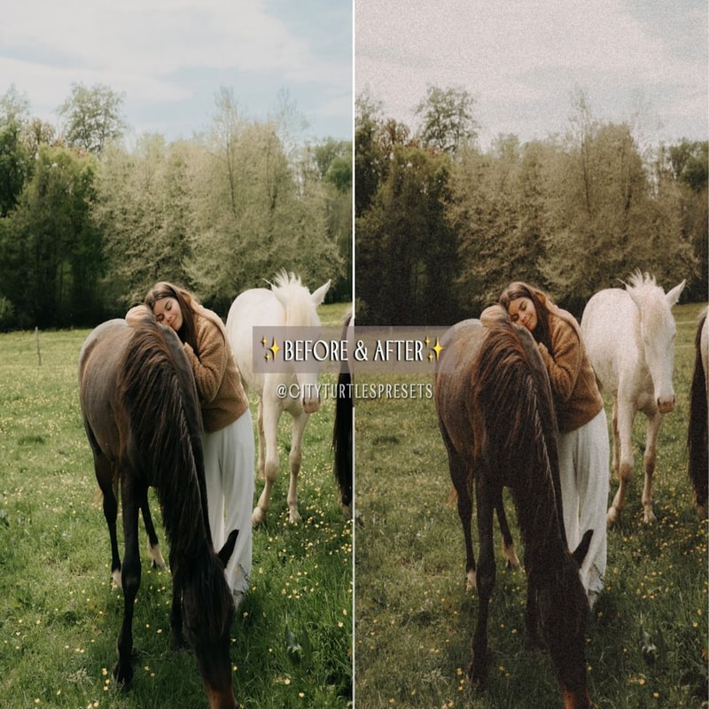 1080x1080 size il_1588xN.3919954297_rs49.jpg