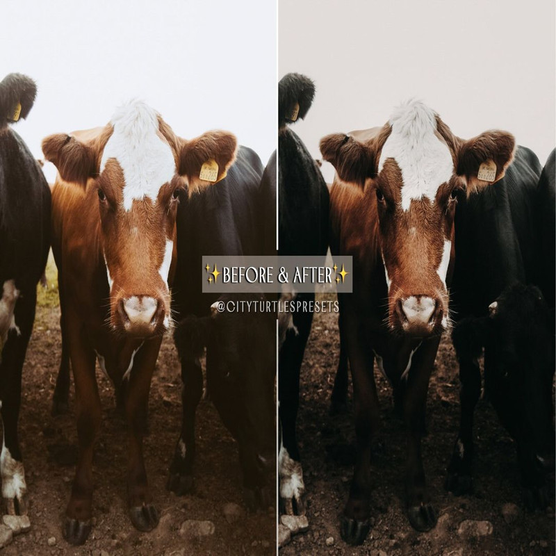 1080x1080 size il_fullxfull.3618667258_iv9x.jpg