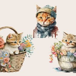 cute cat watercolor png