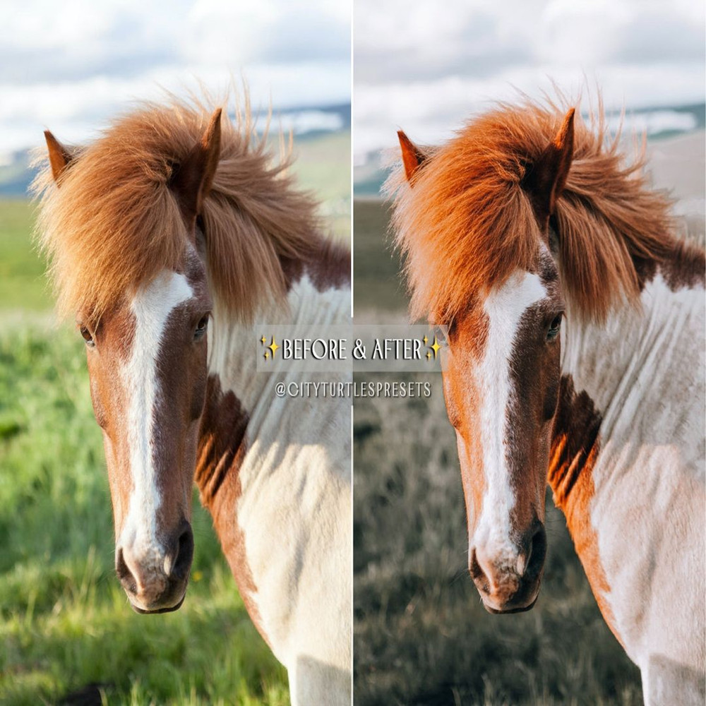 1080x1080 size il_1588xN.3430777223_tjm1.jpg