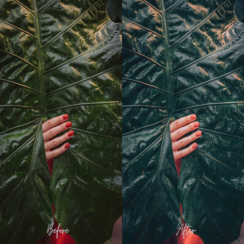 1080x1080 size il_1588xN.3898209588_s41b.jpg