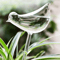 birdshapedplantselfwateringglassglobes2.png