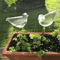 birdshapedplantselfwateringglassglobes4.png