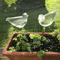 birdshapedplantselfwateringglassglobes4.png