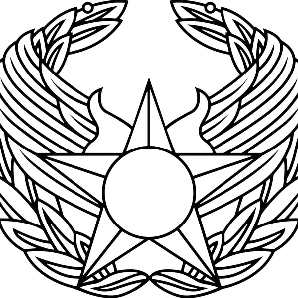 Air Force Commander Badge Black white vector outline or line - Inspire ...