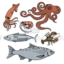 ocean life sea animals healthy seafood vector illustration set