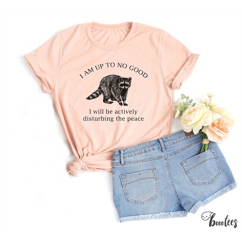 MR-64202321128-funny-raccoon-shirt-animal-lover-t-shirt-gift-idea-tshirt-image-1.jpg