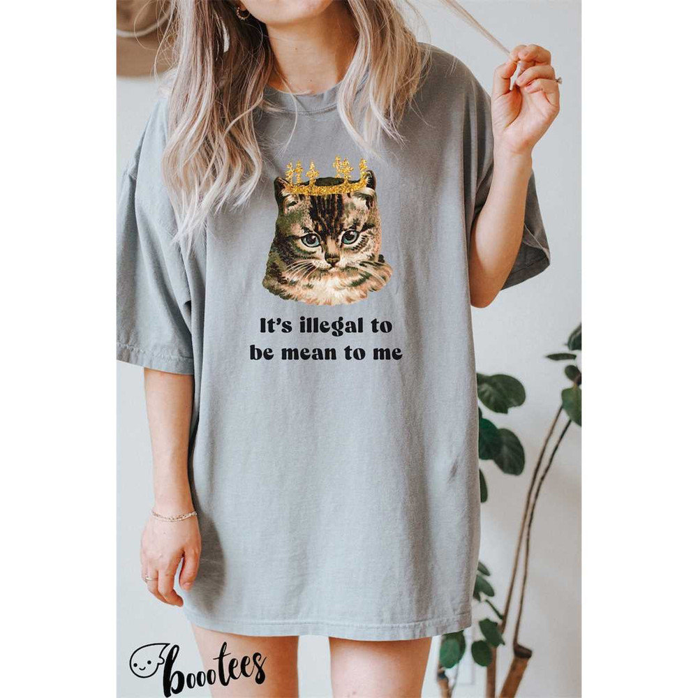 MR-642023231954-its-illegal-to-be-mean-to-me-shirt-comfort-colors-tee-image-1.jpg