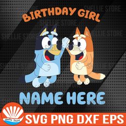 custom birthday girl shirt, bluey and bingo shirt, custom birthday shirt, custom girls' shirt, bluey family shirt