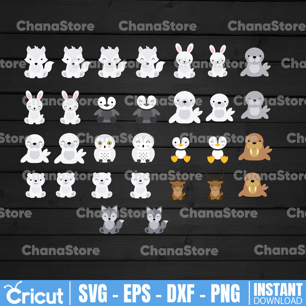 ChanaStore.jpg