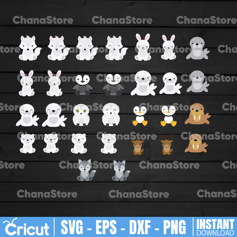 ChanaStore.jpg