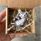 Miniature-dollhouse-opossum-figurine-1/12-scale-Needle-felted-realistic-wool-fluffy-opossum 8