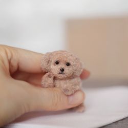 Made to order, Miniature puppy, Dollhouse miniatures, Mini maltipoo dog, Toy for doll