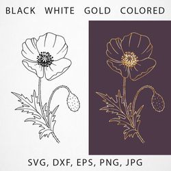 Poppy flowers in black, color, gold and white in SVG, EPS, DXF, PNG, JPG format. Hand drawing of poppy in Line Art style