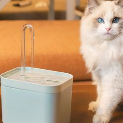 cat electric water dispenser fountain