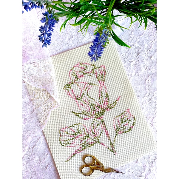 Variegated Rose Coloris new 6.jpg