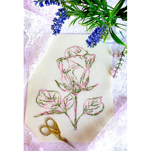 Variegated Rose Coloris new 4.jpg