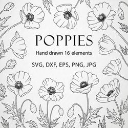 Collection of Poppy flowers in black contour in SVG, EPS, DXF, PNG, JPG format. Hand drawing of poppy in Line Art style